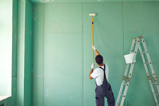 Best Mold Odor Removal Services  in Hampton, TN