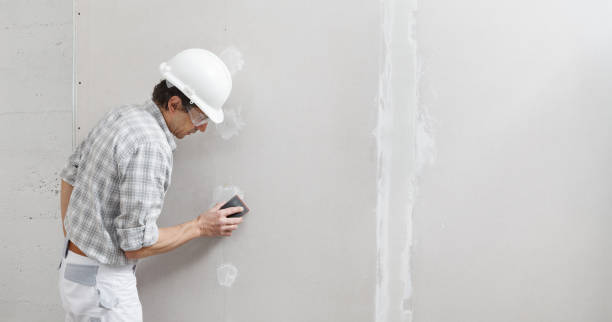 Best Mold Removal for HVAC Installations  in Hampton, TN