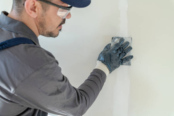 Best Mold Documentation for Insurance Claims  in Hampton, TN
