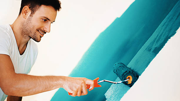 Best Post-Construction Mold Inspection  in Hampton, TN